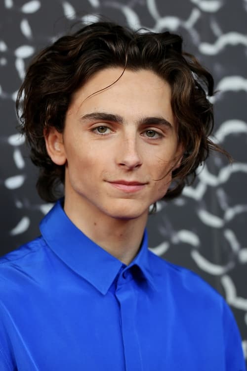 Picture of Timothée Chalamet