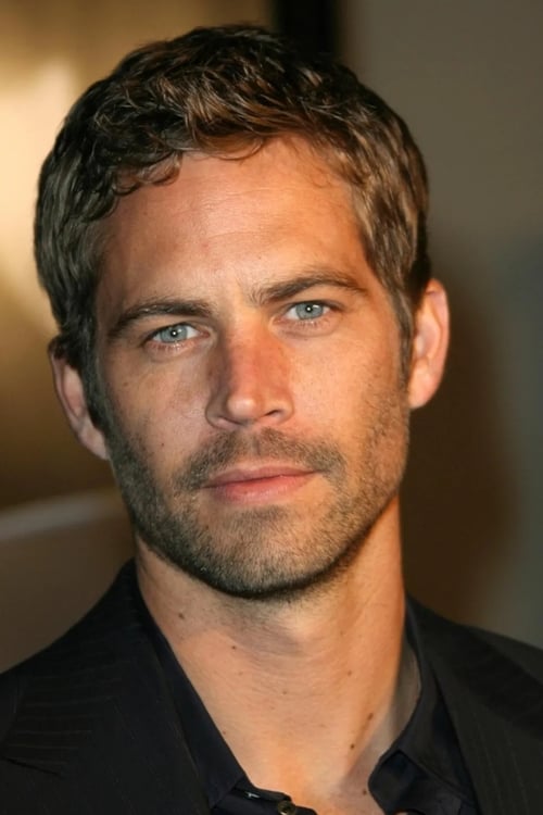 Picture of Paul Walker