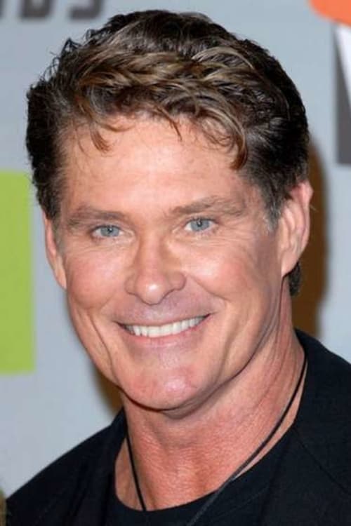 Picture of David Hasselhoff