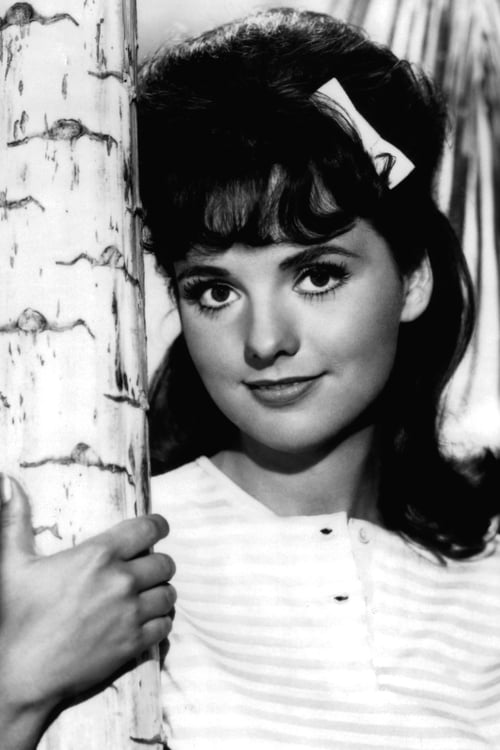 Picture of Dawn Wells