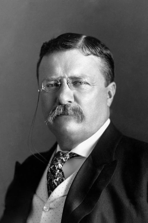 Picture of Theodore Roosevelt