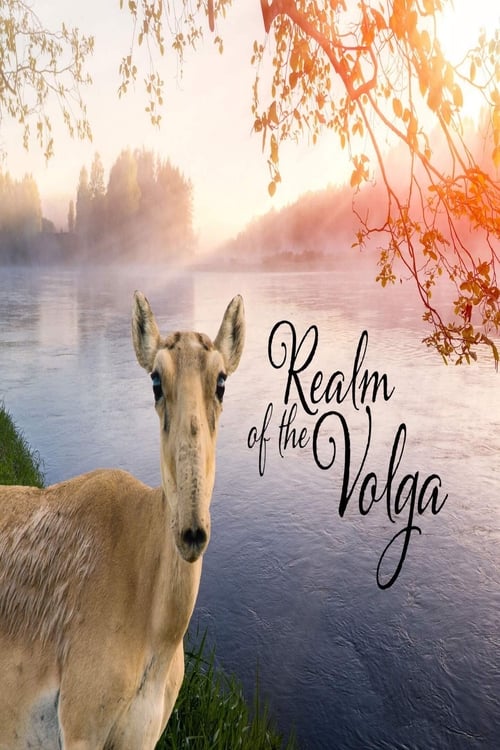 Realm of the Volga