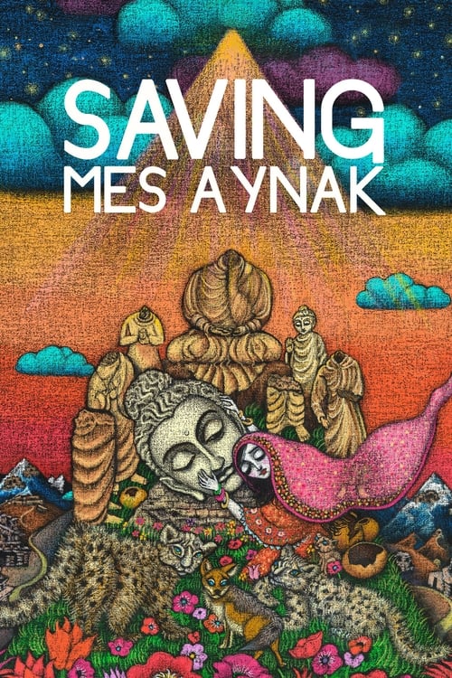 Saving Mes Aynak