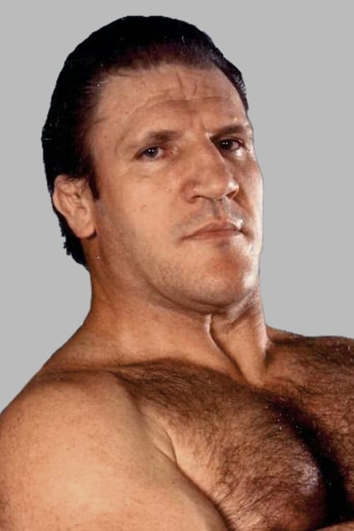 Picture of Bruno Sammartino