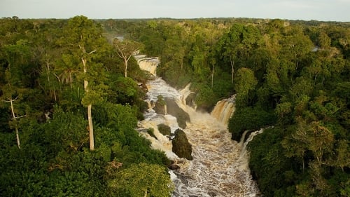 Still image taken from Il était une forêt