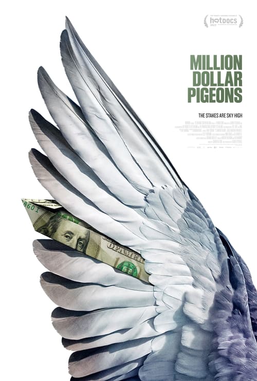 Million Dollar Pigeons