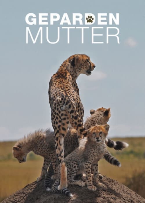 Cheetah Mom