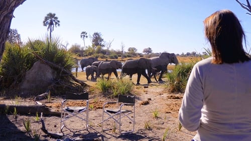 Still image taken from In the Footsteps of Elephant