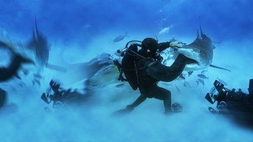 Still image taken from Man vs. Shark