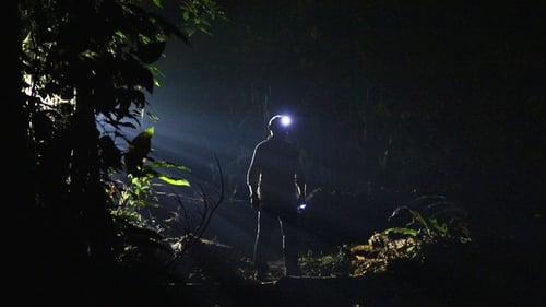 Still image taken from The Dark: Nature's Nighttime World