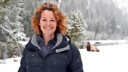 Still image taken from Yellowstone: Wildest Winter to Blazing Summer