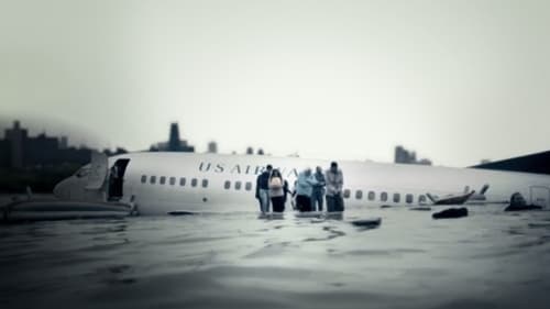 Still image taken from Miracle Landing on the Hudson