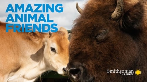 Still image taken from Amazing Animal Friends