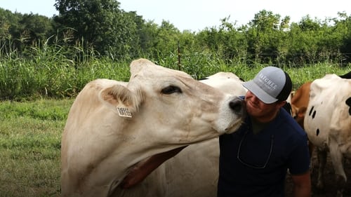 Still image taken from The Hatcher Family Dairy