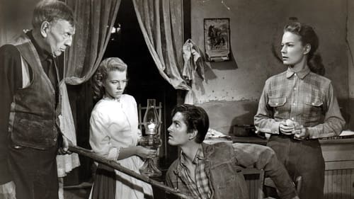 Still image taken from High Lonesome