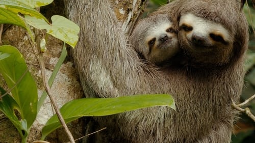 Still image taken from Colombia - Wild and Free