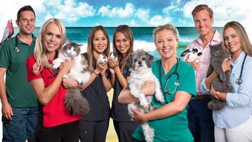 Still image taken from Bondi Vet: Coast to Coast