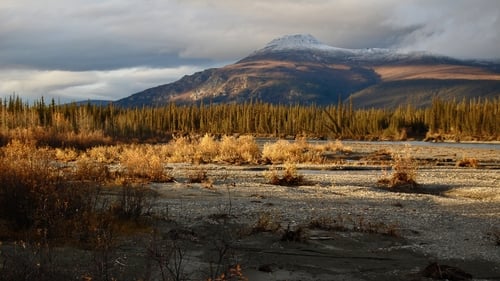 Still image taken from Arctic Daughter: A Lifetime of Wilderness